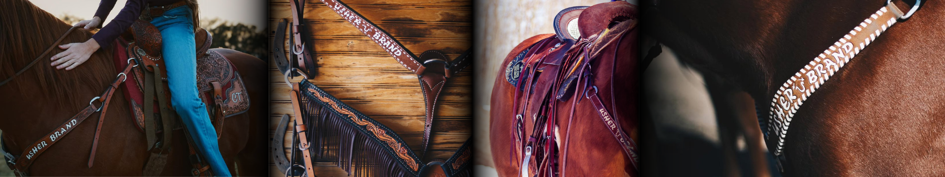 Three-Point Breast Collar vs. Tripping Collar: Which One Is Best For You?