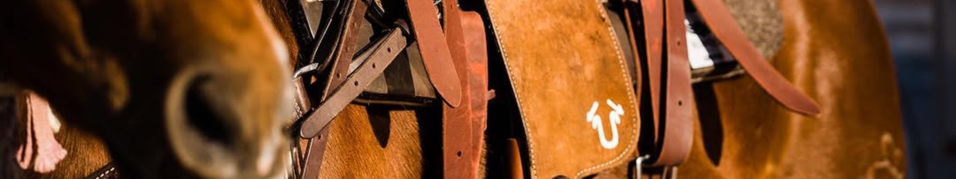 Branded vs. Unbranded: What’s the Difference?