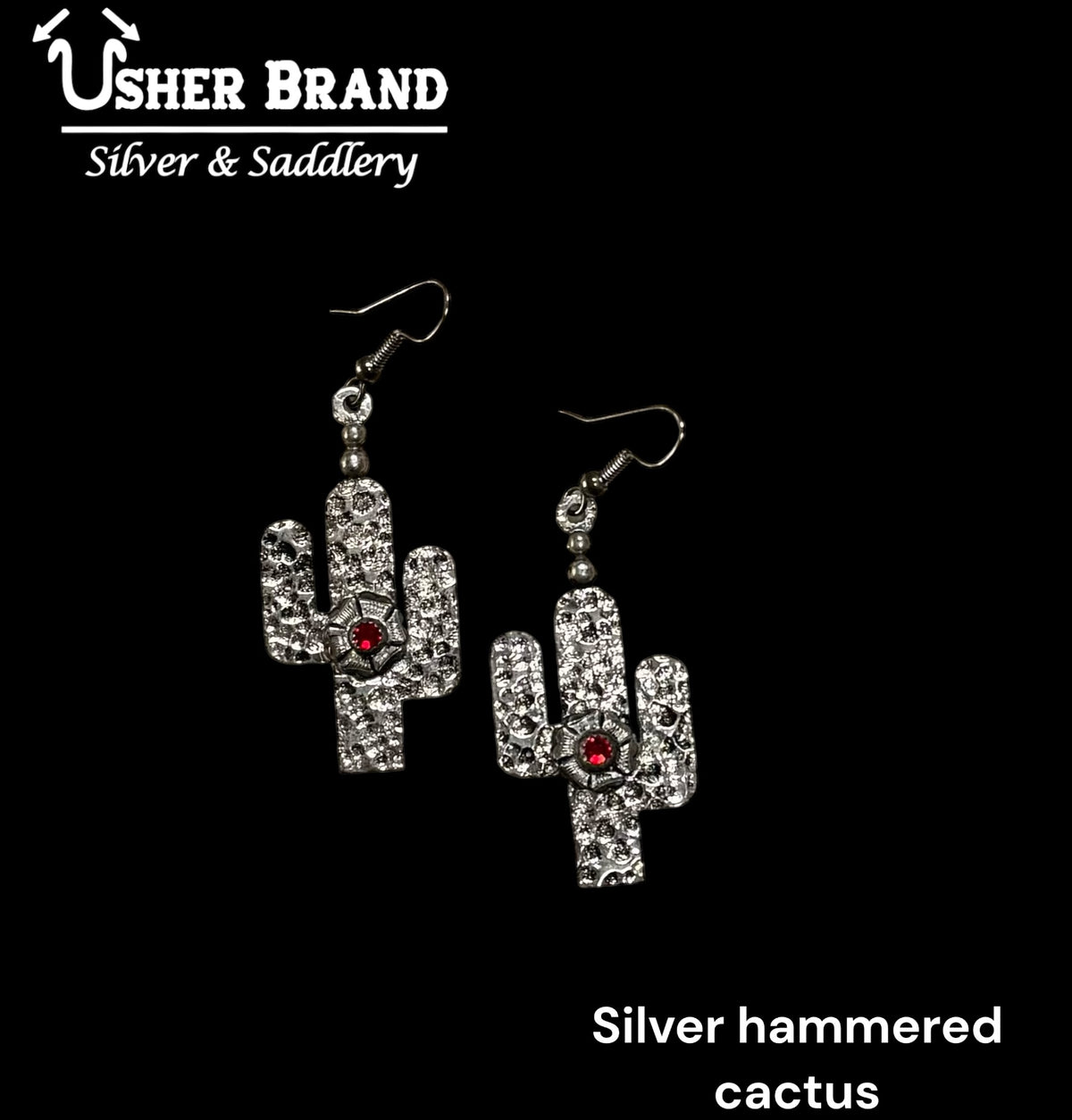 Silver hammed Cactus