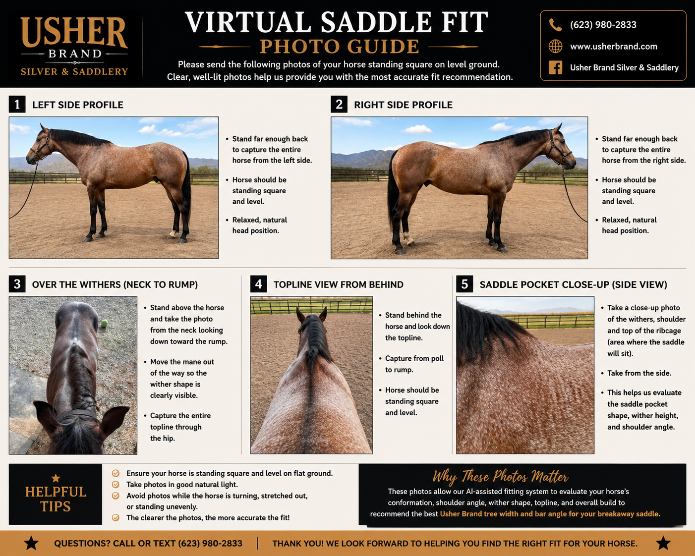 Virtual Saddle Fit Analysis