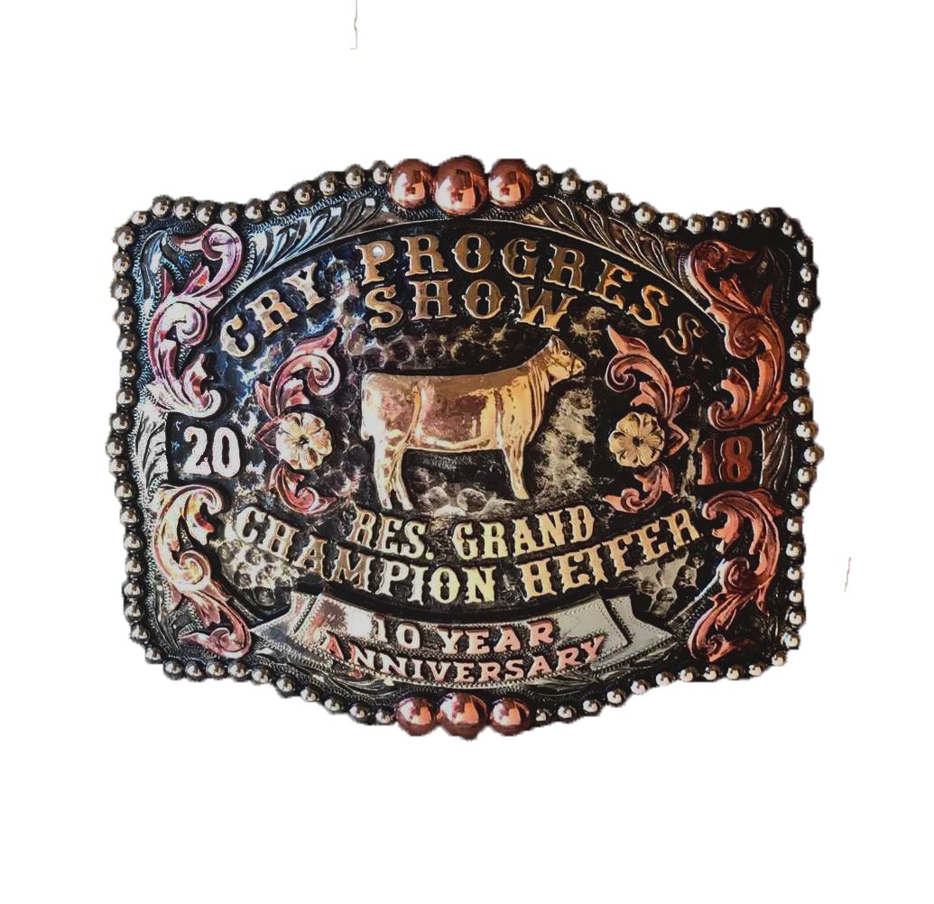 Sonoita Buckle UB-073